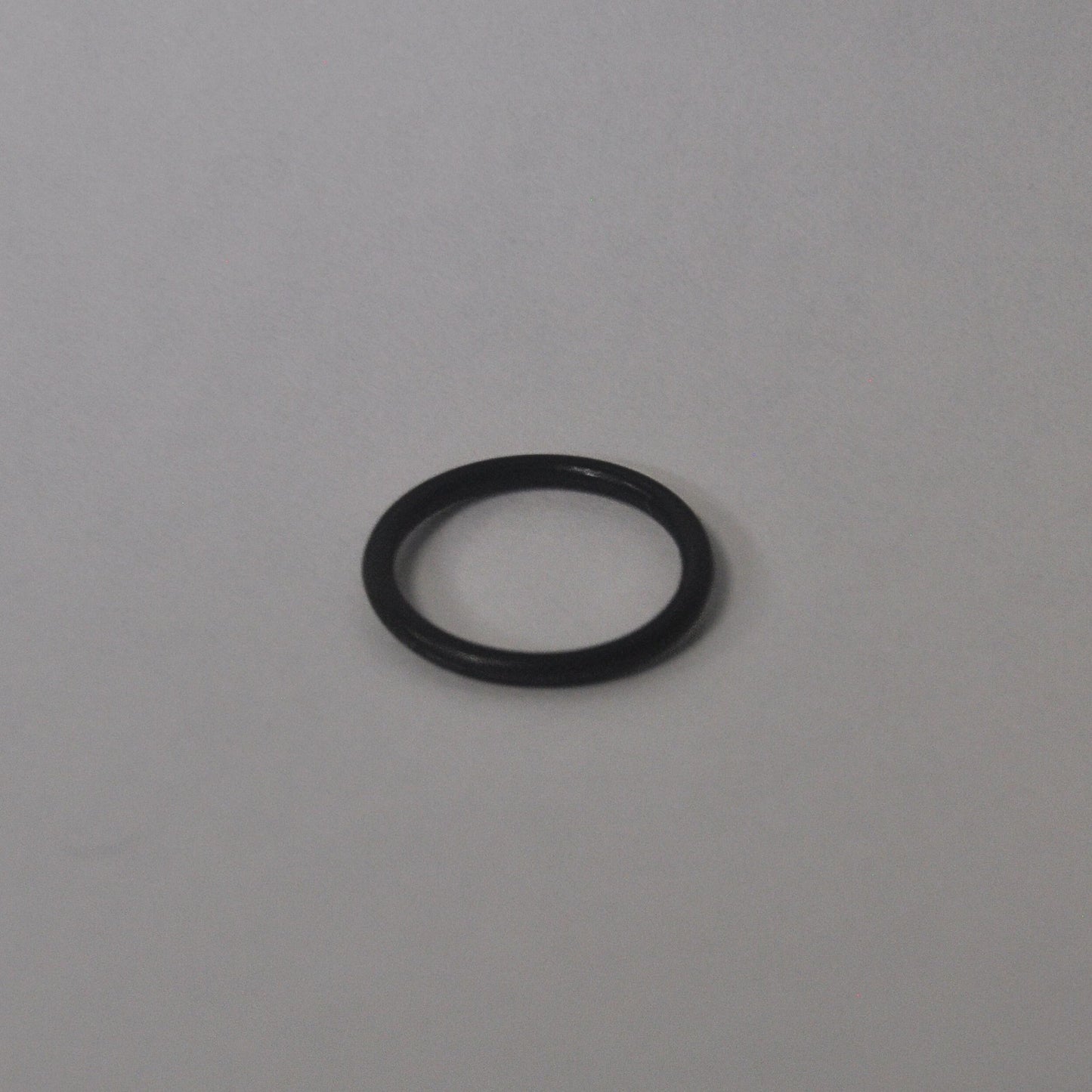 Nozzle O ring