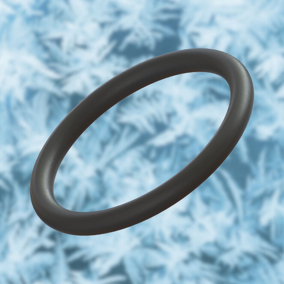 Nozzle O ring