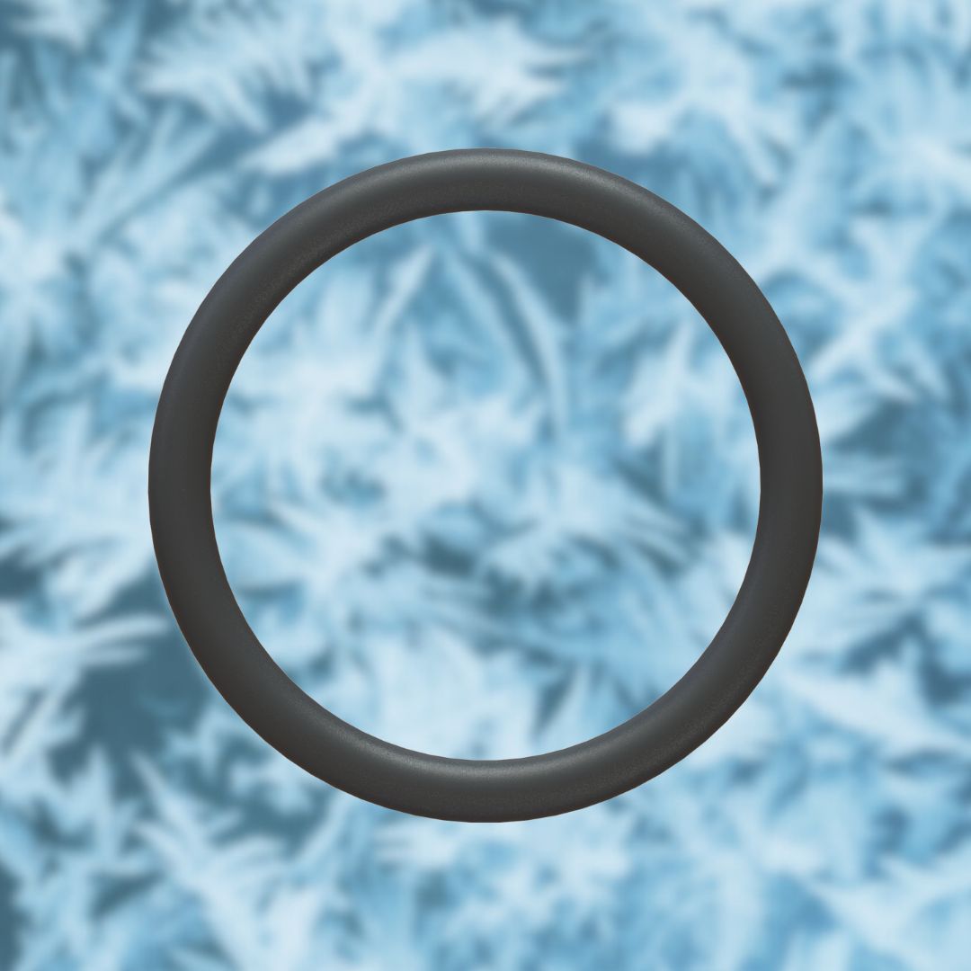 Nozzle O ring